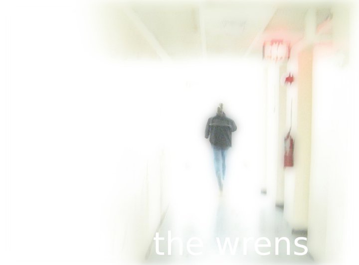 NEW WRENS! – well half a song at least